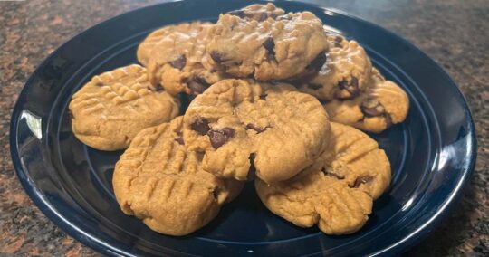Chocolate chip peanut butter cookies, prepared on plate.