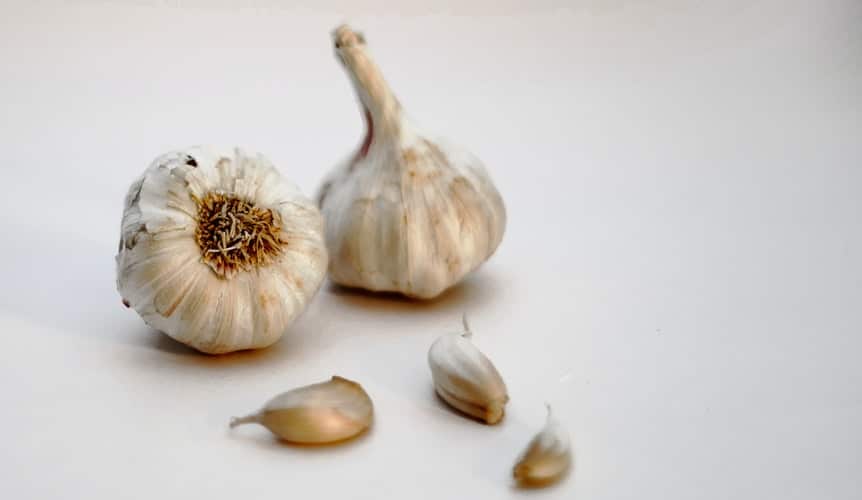Substitute Garlic Powder for Minced Garlic image