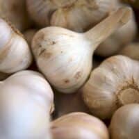 Substitute Garlic Powder for Minced Garlic