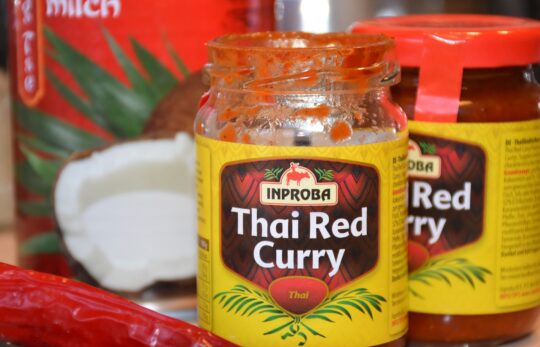 Substitute for Red Curry Paste