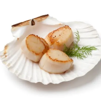 Seared scallops on dish-shaped serving tray.