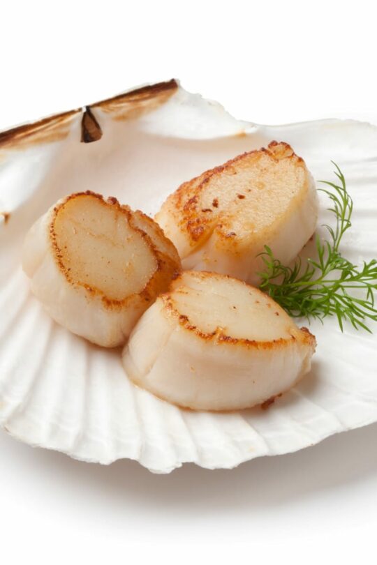 How to Cook Scallop on the Stove