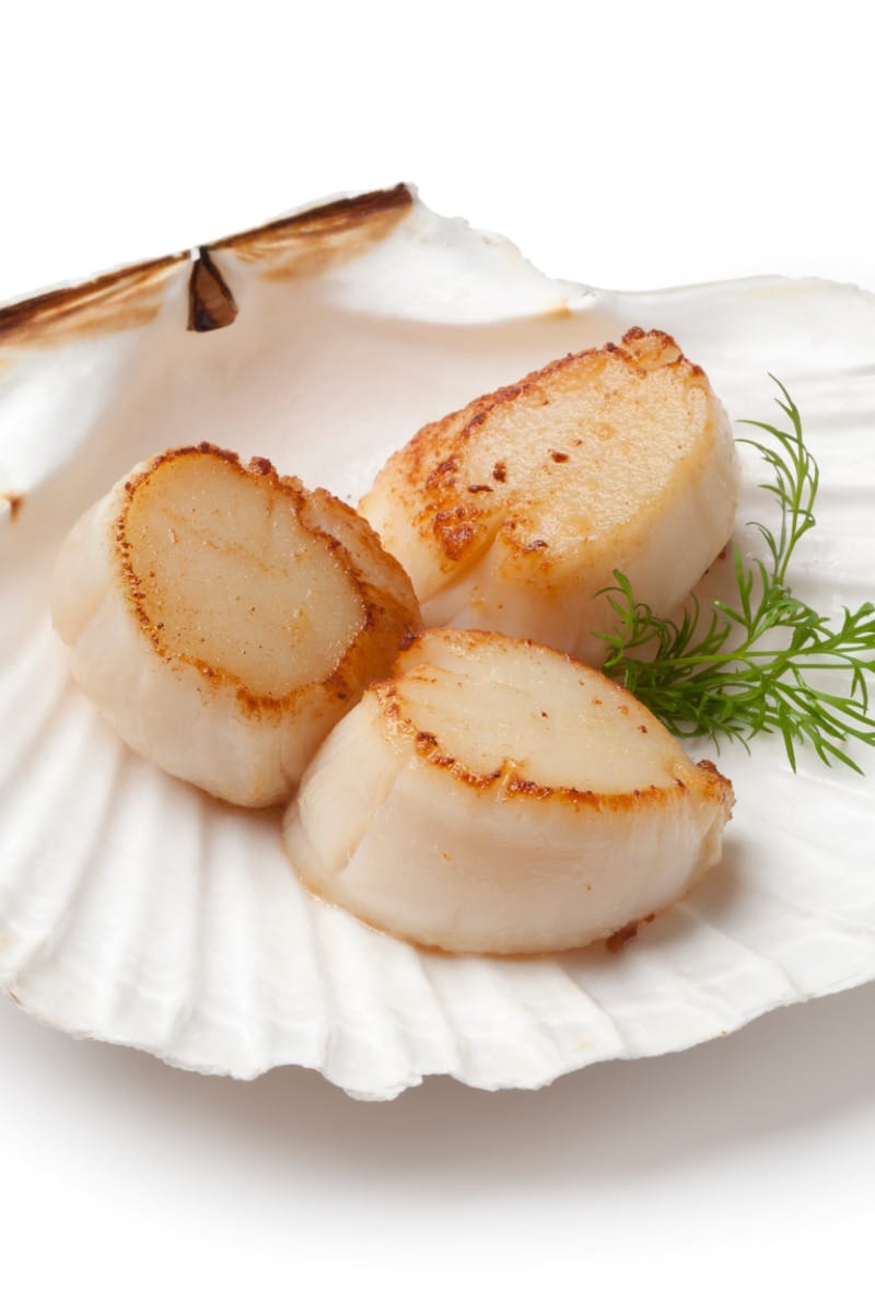 Seared scallops on dish-shaped serving tray. 