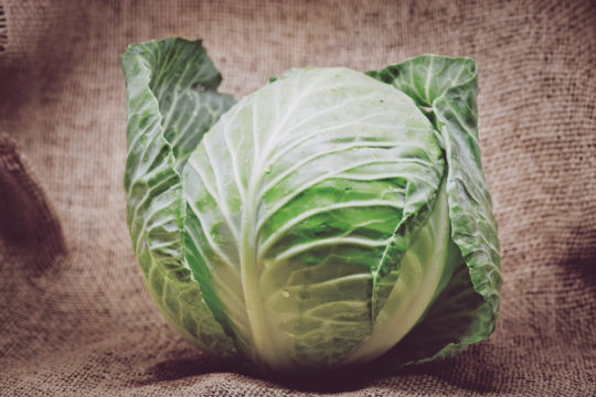 How to Cook Cabbage on the Stove