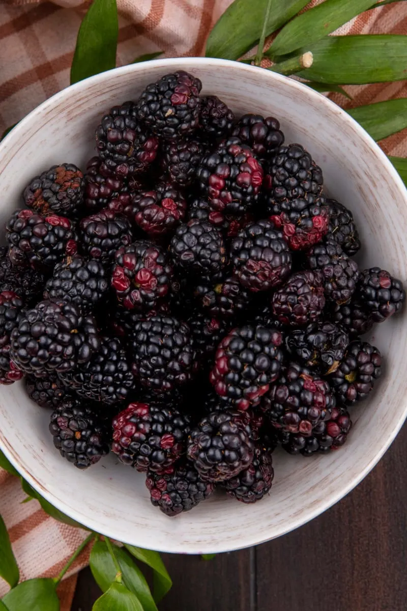 Overhead view of blackberries in a bowl.