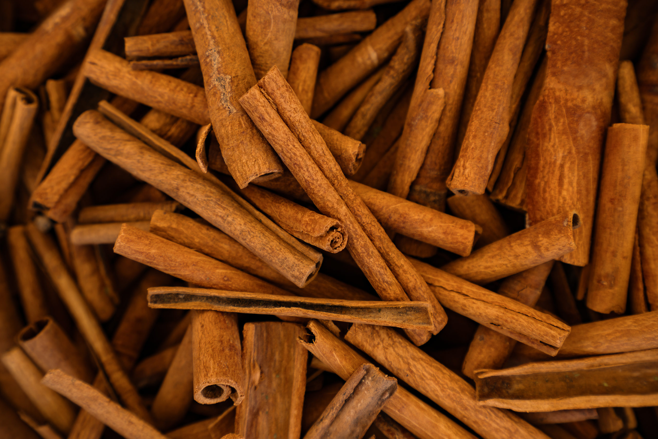 Substitute for Cinnamon Sticks