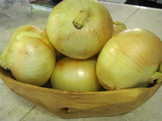 Substitute for Spanish Onions