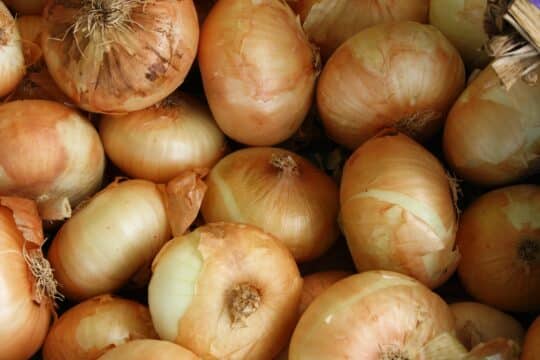 Substitute for Vidalia Onion