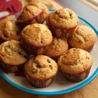 Substitutes for Vegetable Oil in Muffins