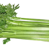 What Does Celery Taste Like