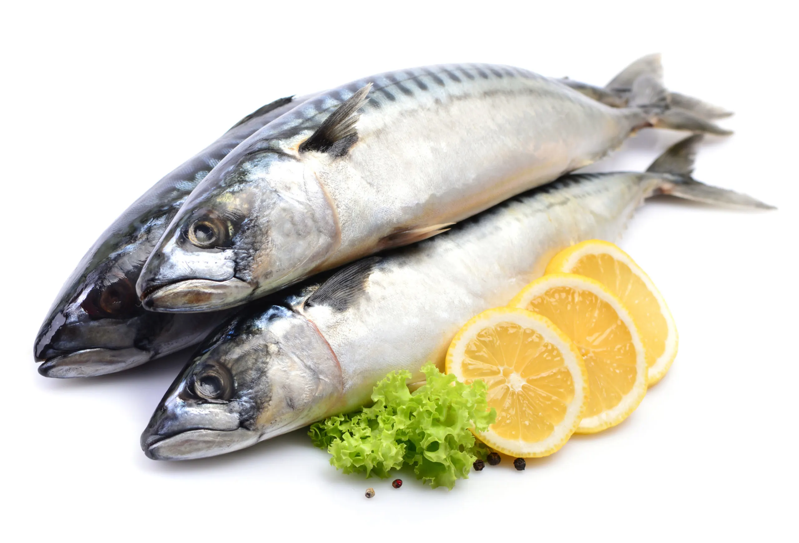 Kinds of White Fish - Differences and Substitutions - TheCookful