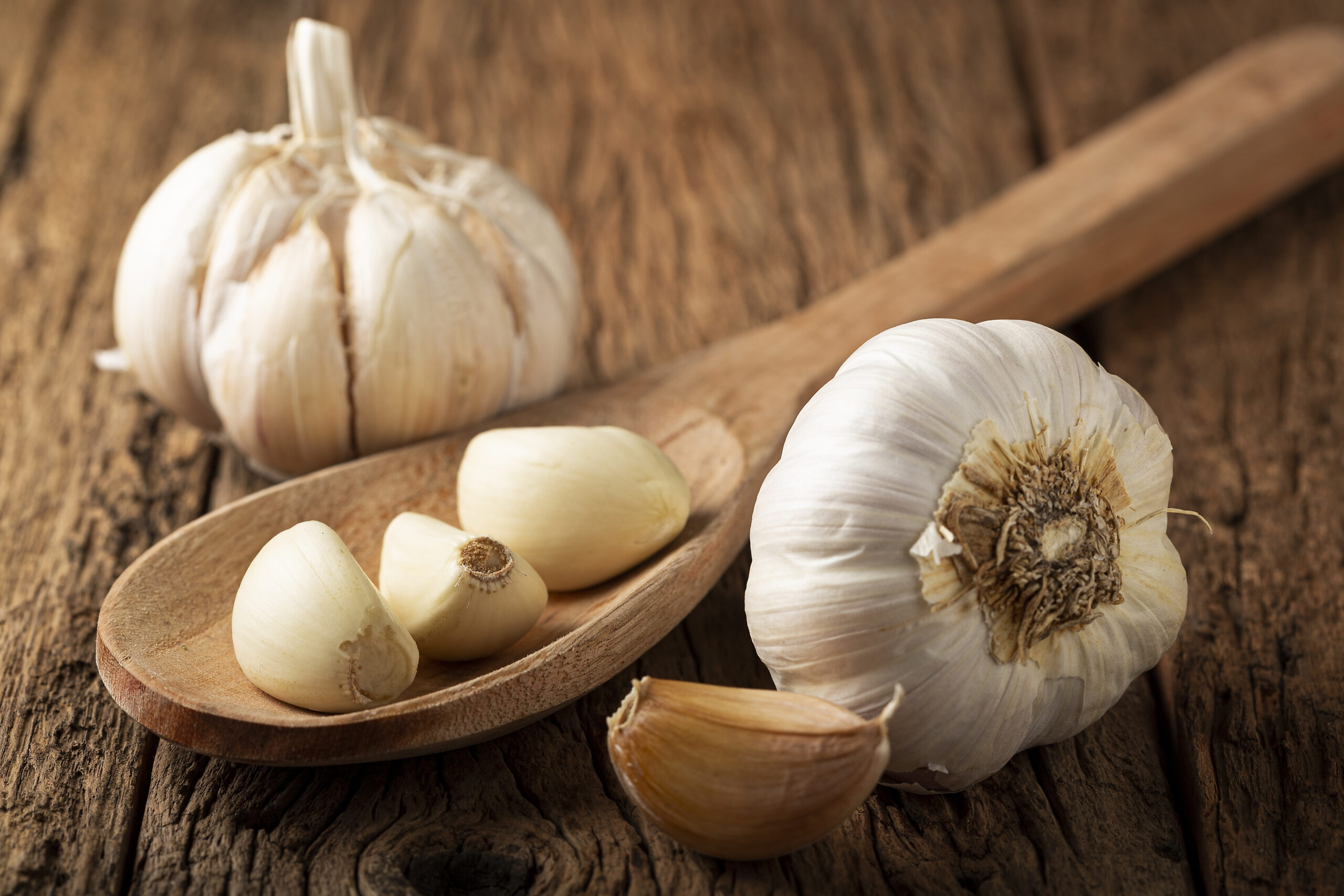 Substitute Garlic Powder for Garlic Cloves