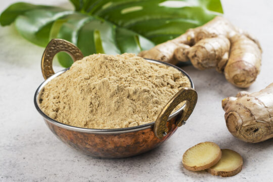 Substitute Powdered Ginger for Fresh