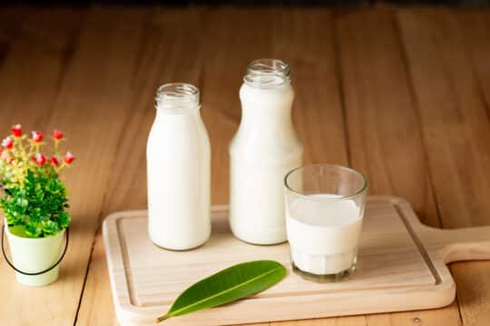 Healthiest Milk Substitute