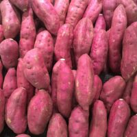 How to Cook Red Potatoes on the Stove