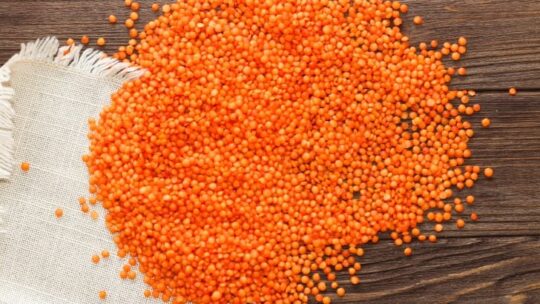 Raw red lentils on wood surface.