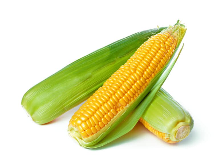 How To Cook Sweet Corn On The Cob (2)