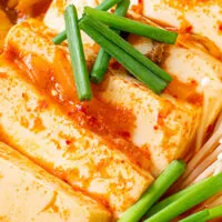 Close-up view of prepared extra-firm tofu.