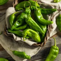 Hatch Chile Substitute