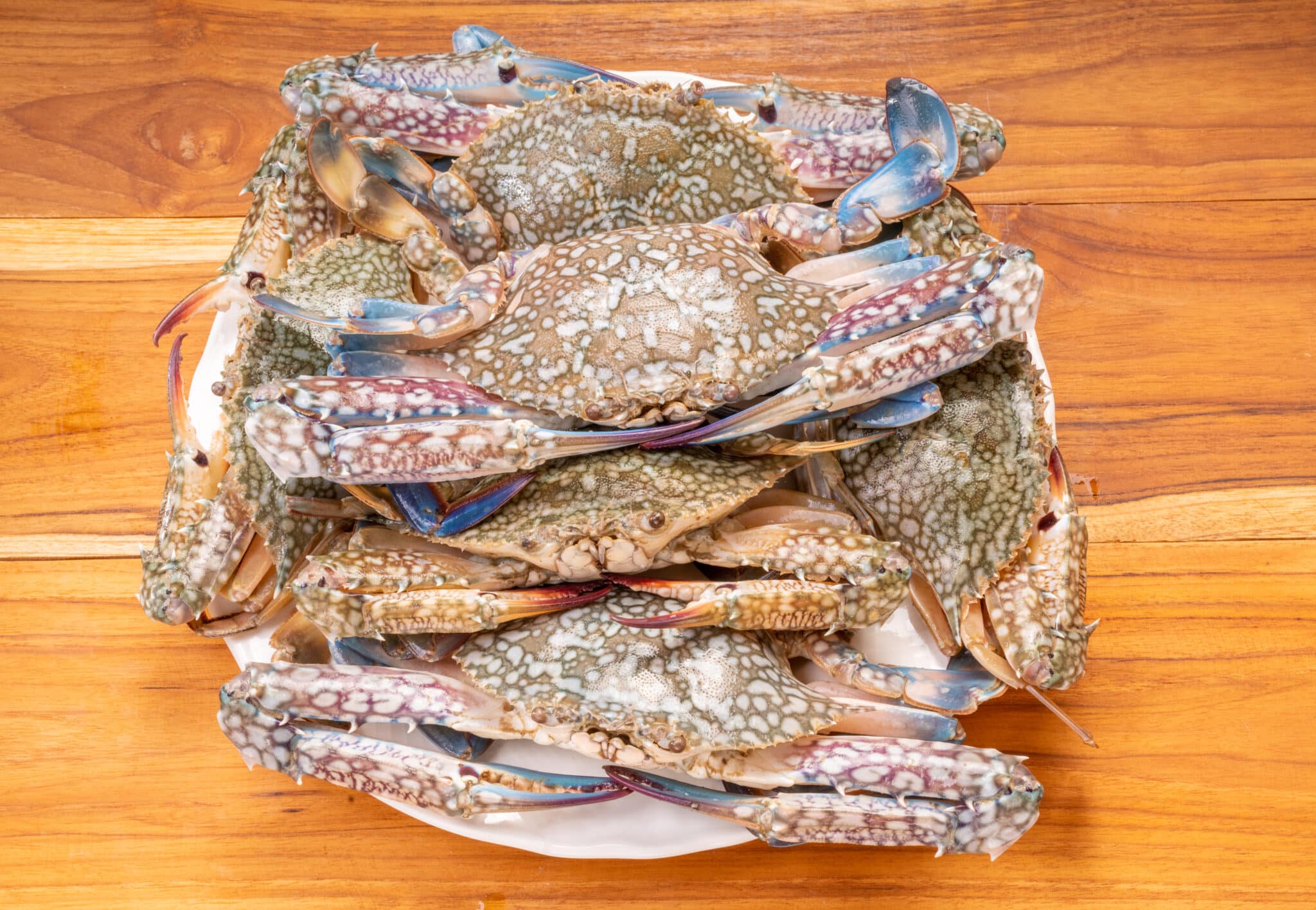 How Long To Cook Blue Crabs (3)