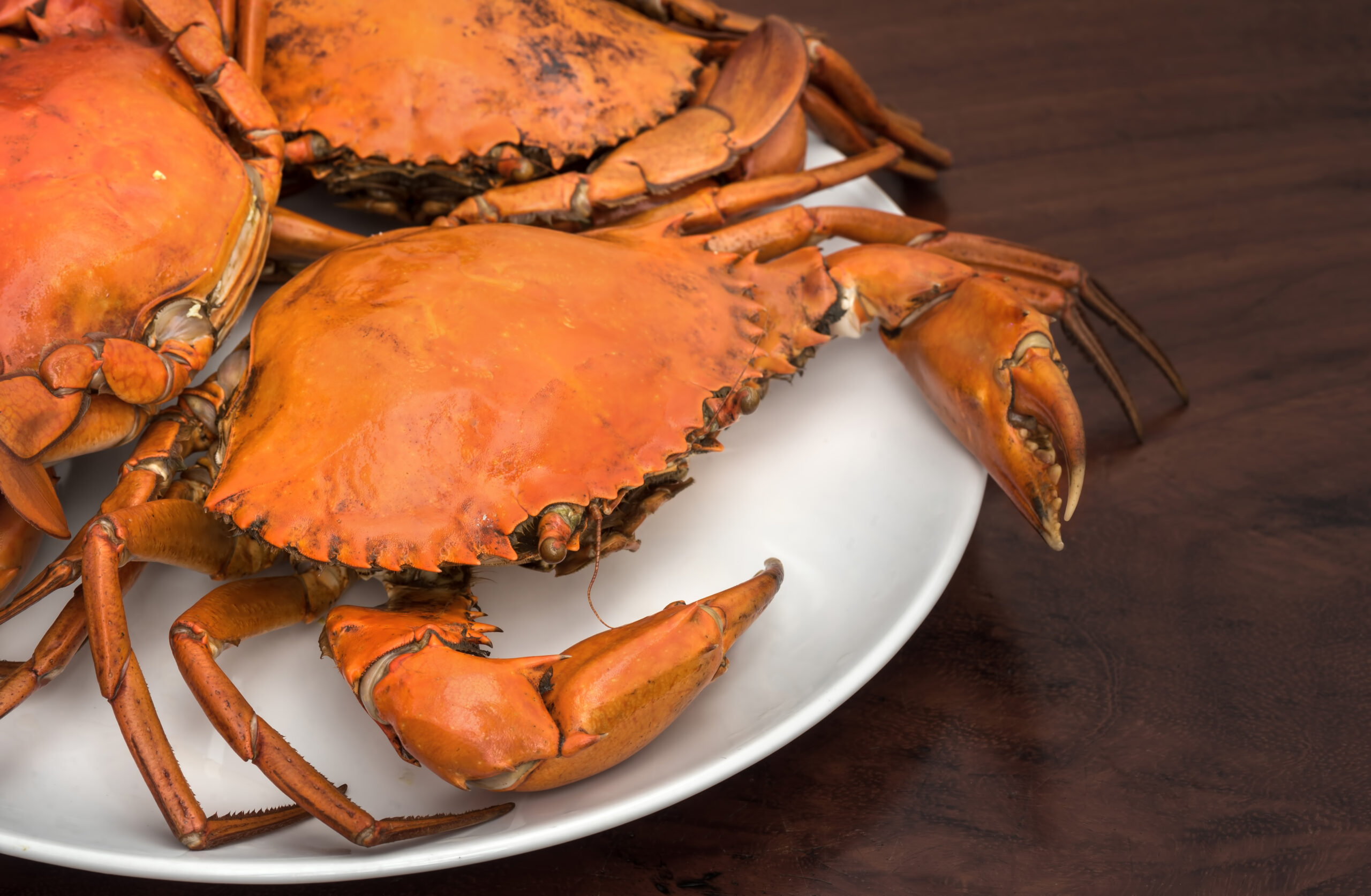 How Long To Cook Dungeness Crabs