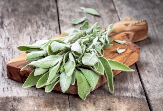How To Use Sage In Cooking