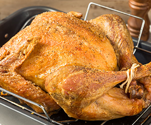 Trusted, whole roasted turkey in roasting pan.