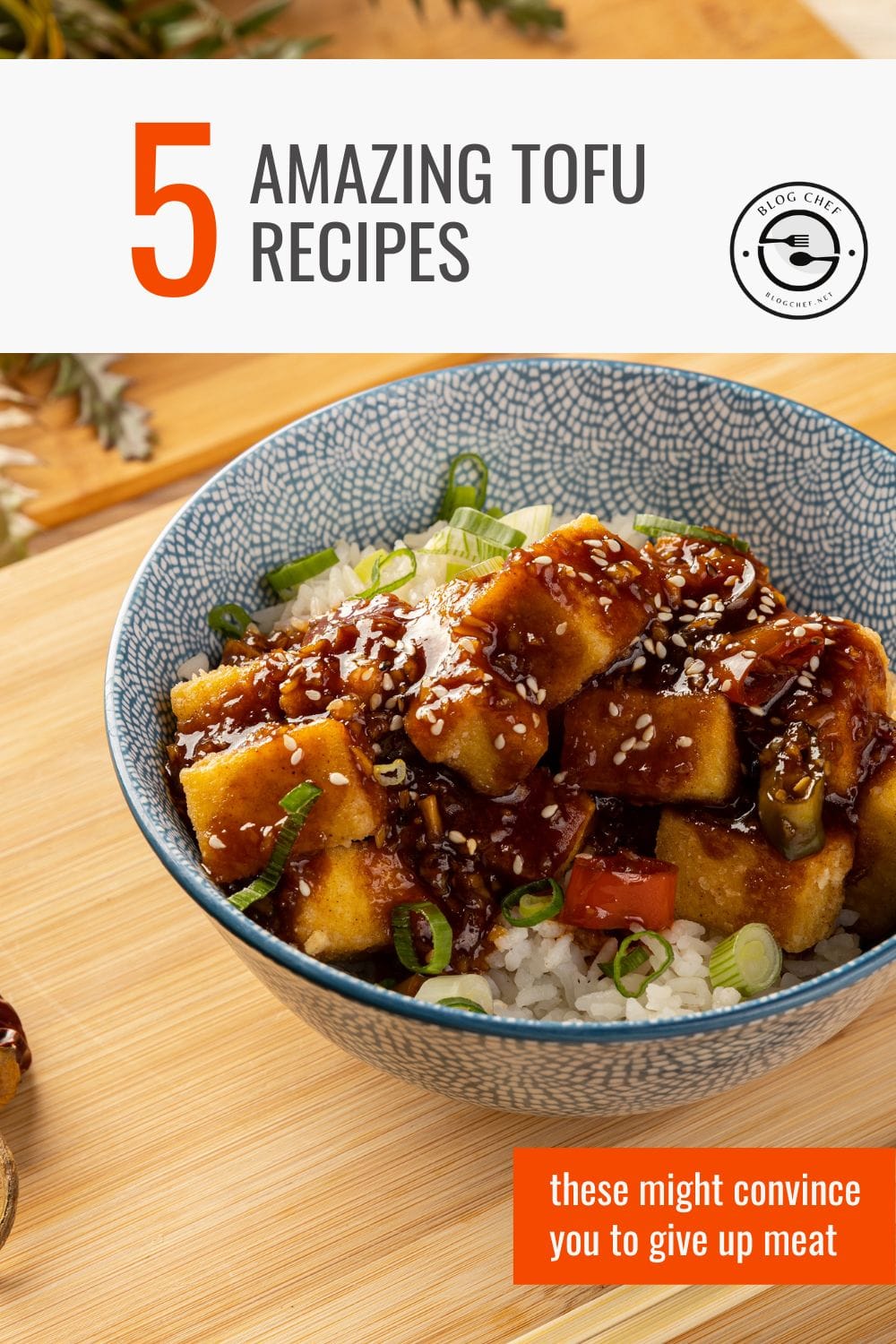 Close up view of tofu dish with text overlay that reads 5 amazing tofu recipes.
