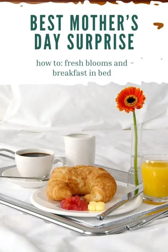 Blooms and Breakfast: A Recipe for the Perfect Mother?s Day Surprise